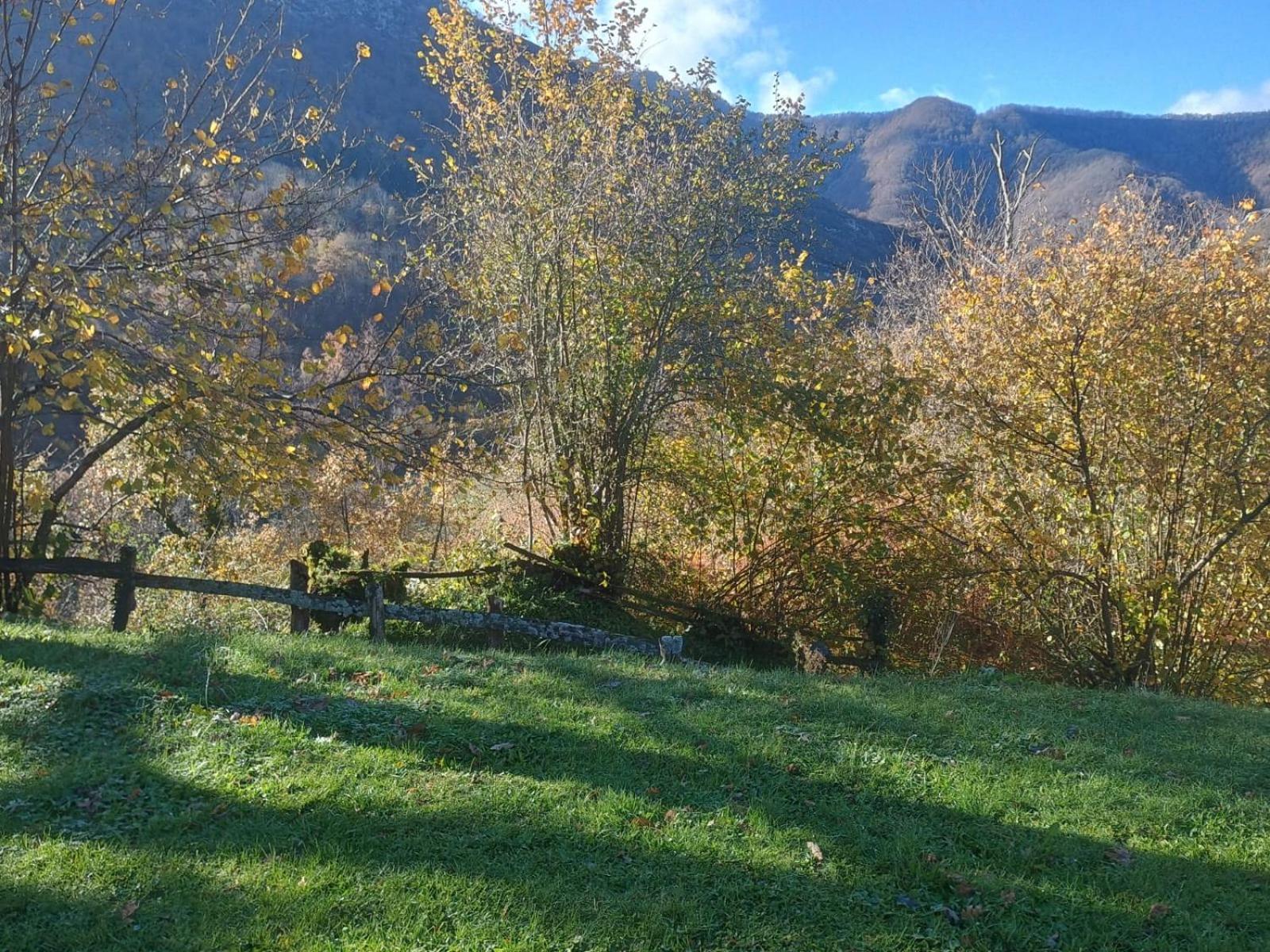 Hotel Rural Reciegos Complejo Agroturistico Caso Exteriér fotografie